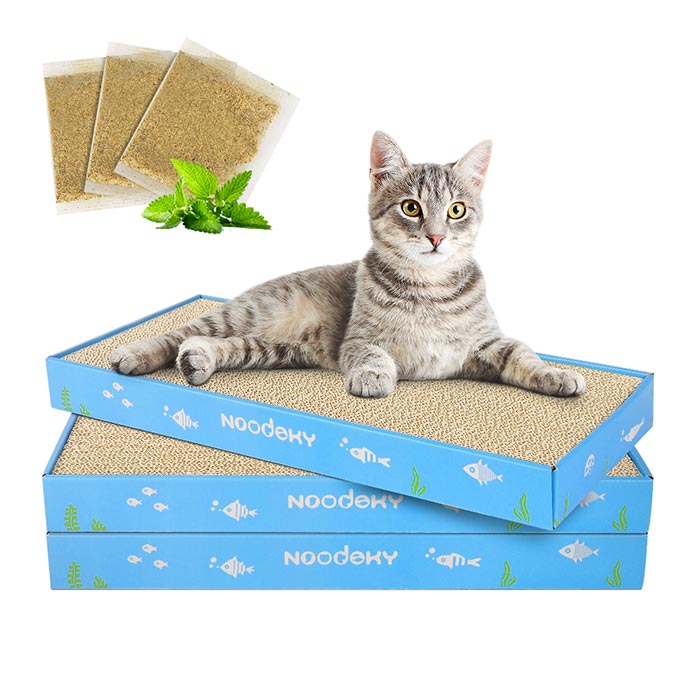 Cat deals scratch pads
